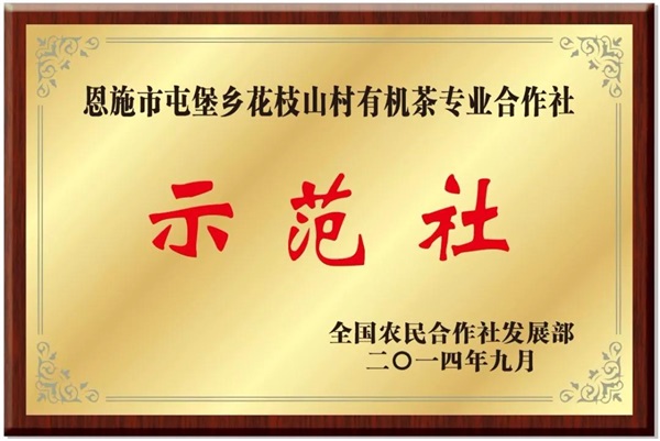 1598431650799.jpg 12.jpg