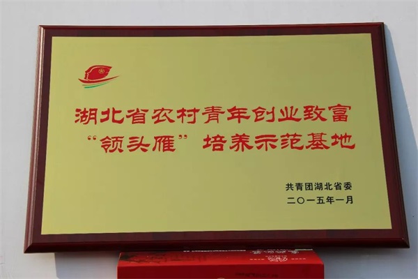 1598431717308.jpg